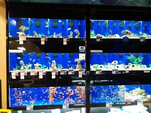 Pet Supply Store «PetSmart», reviews and photos, 5241 Monroe St, Toledo, OH 43623, USA