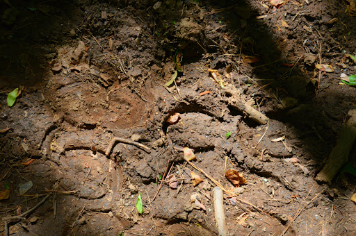 Park «Little Mulberry Park», reviews and photos, 3855 Hog Mountain Rd, Hoschton, GA 30548, USA