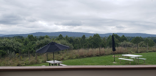 Winery «The Wine Reserve at Waterford», reviews and photos, 38516 Charles Town Pike, Waterford, VA 20197, USA