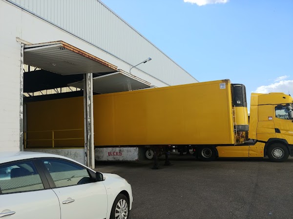 Dhl Express