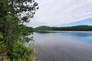 Downeast Lakes Community Forest image