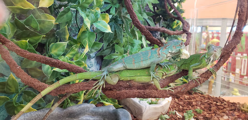 Pet Supply Store «Petco Animal Supplies», reviews and photos, 2541 NW Arterial, Dubuque, IA 52002, USA