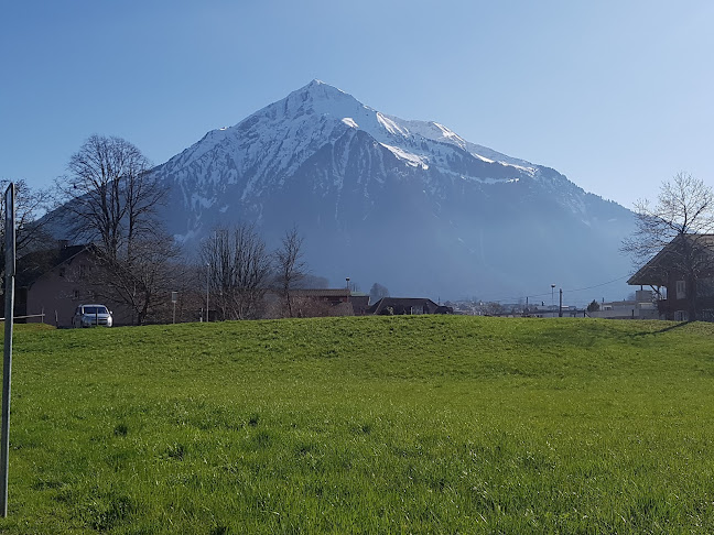 Bibliothek Spiez - Siders