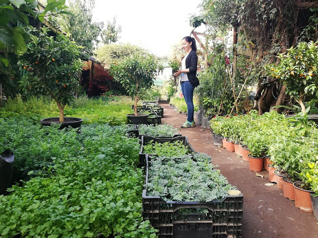 Opiniones de Las Perdices en Peñalolén - Centro de jardinería