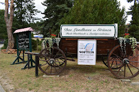 Restaurant allemand Das Landhaus im Grünen Gaststätte à Wendisch Rietz (la carte)