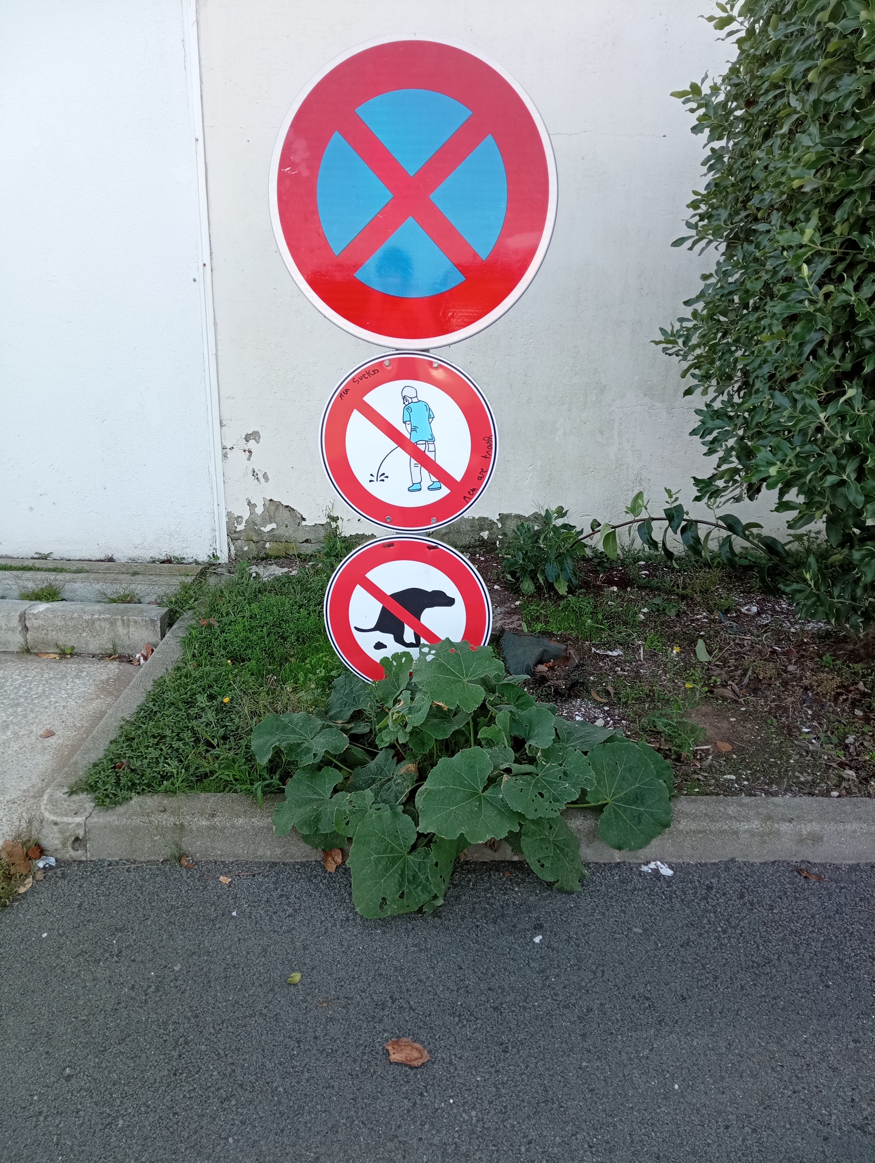 Photo n° 1 de l'avis de Mercedes.a fait le 02/10/2023 à 06:20