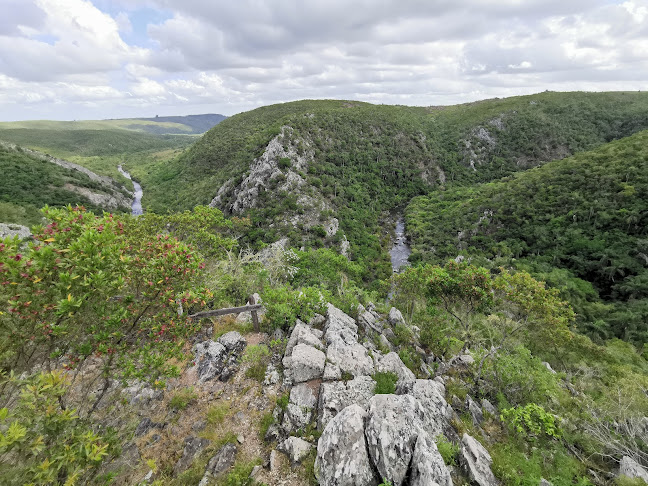 Paisaje protegido Quebrada de los Cuervos y Sierras del Yerbal - Camping