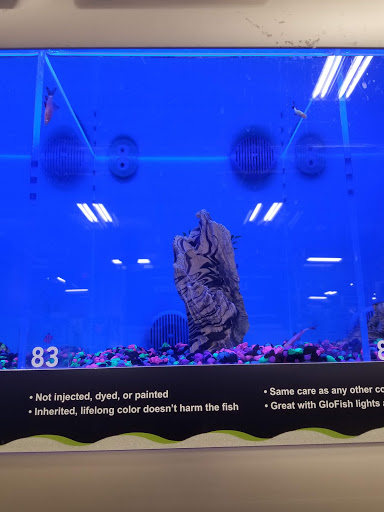 Pet Supply Store «PetSmart», reviews and photos, 98 Providence Hwy, East Walpole, MA 02032, USA