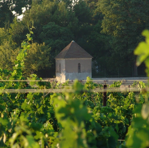 Domaine Saint André à Mèze