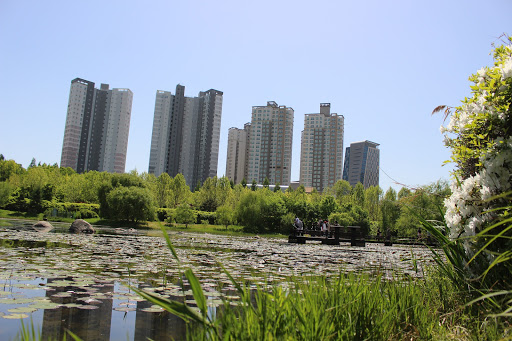 Beaches in Seoul