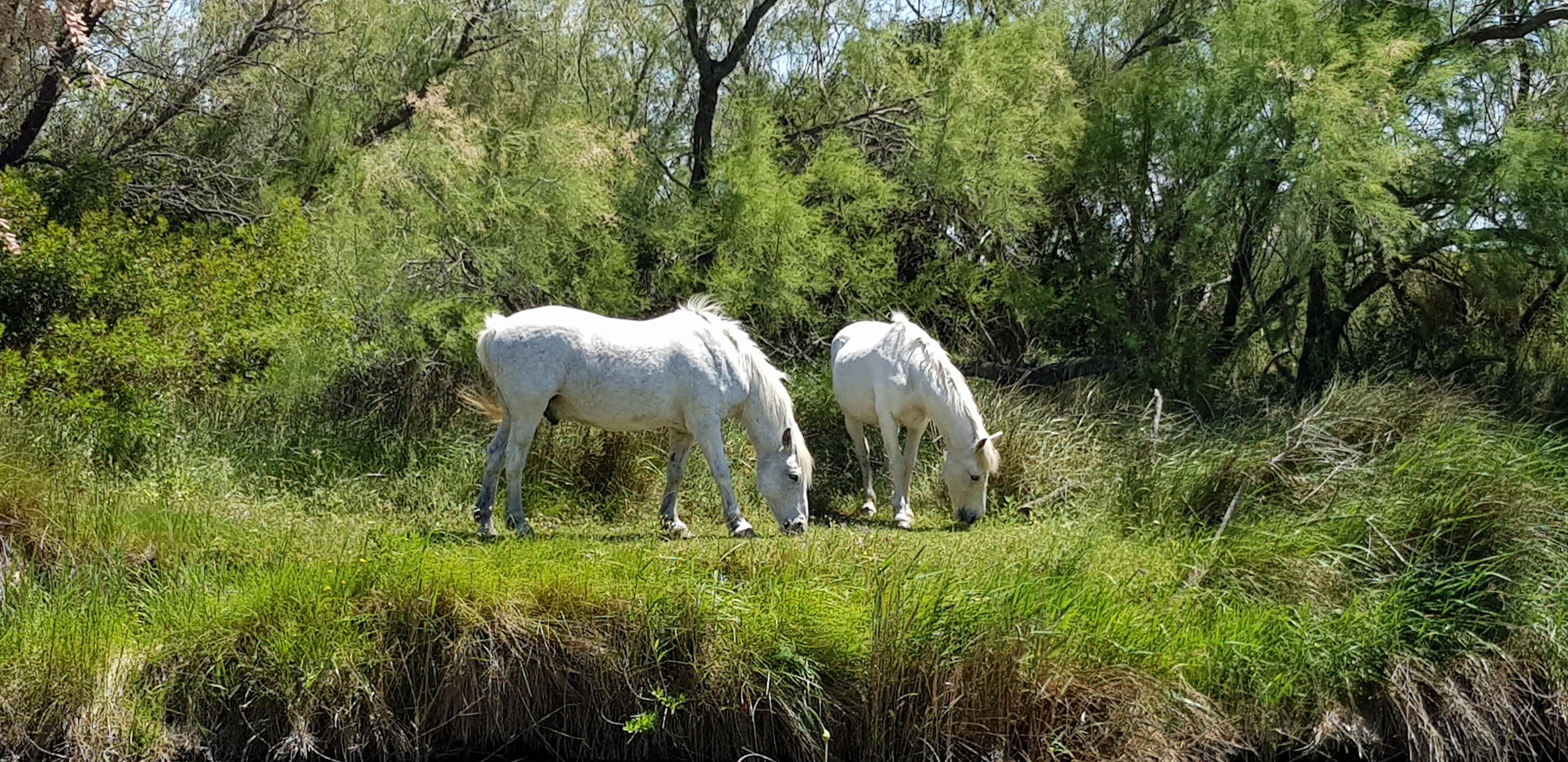 Photo n° 2 de l'avis de Patrice.. fait le 18/05/2019 à 11:57