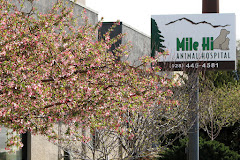 Mile-Hi Animal Hospital