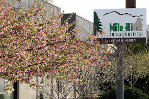 Mile-Hi Animal Hospital