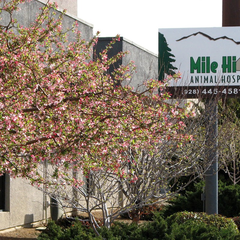 Mile-Hi Animal Hospital