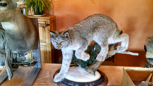 Golf Club «Shining Mountain Golf Course & Event Center», reviews and photos, 100 Shining Mountain Ln, Woodland Park, CO 80863, USA