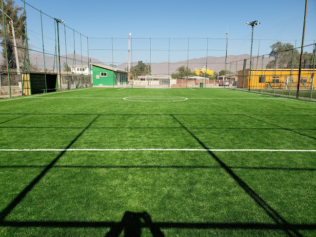Opiniones de PREMUIM SOCCER en Copiapó - Campo de fútbol