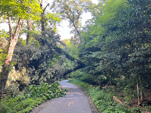 Recreation Center «Rosedale Recreation Center», reviews and photos, 1701 Gales St NE, Washington, DC 20002, USA