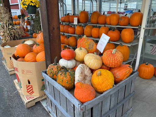Produce Market «E Draghi & Son Farm Stand», reviews and photos, 86 Main St, South Glastonbury, CT 06073, USA