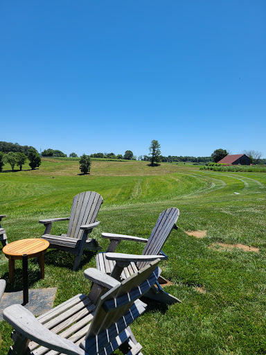 Vineyard «Early Mountain Vineyards», reviews and photos, 6109 Wolftown-Hood Rd, Madison, VA 22727, USA