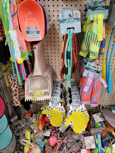 Dollar Store «Dollar Tree», reviews and photos, 340 W Army Trail Rd #120, Bloomingdale, IL 60108, USA