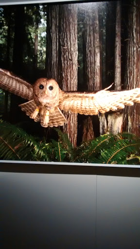 Museum «National Geographic Museum», reviews and photos, 1145 17th Street NW, Washington, DC 20036, USA