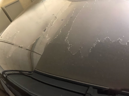 Auto Body Shop «First Class Auto Body & Fiberglass», reviews and photos, 3002 N Civic Center Plaza, Scottsdale, AZ 85251, USA