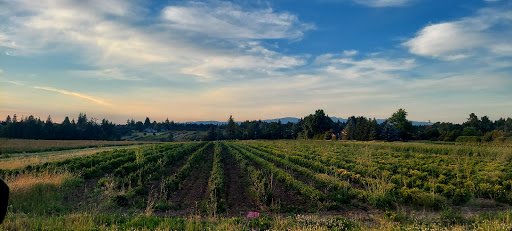 Animal Feed Store «Burns Feed Store», reviews and photos, 29215 SE Orient Dr, Gresham, OR 97080, USA