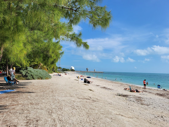 Zachary Taylor beach
