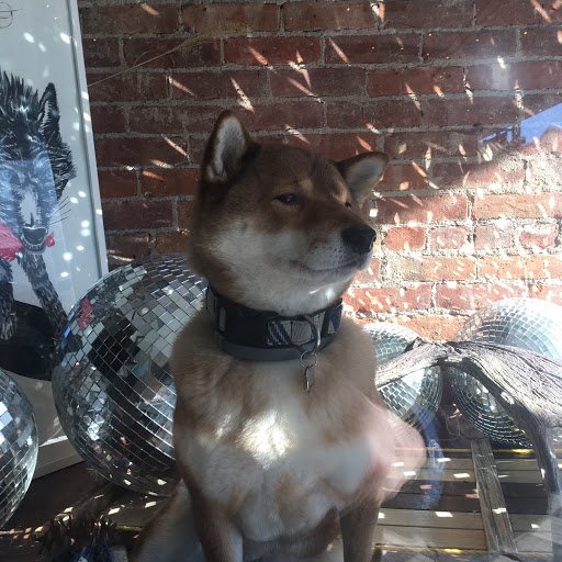 Kitchen Supply Store «bluecashew Kitchen Pharmacy», reviews and photos, 6423 Montgomery St #3, Rhinebeck, NY 12572, USA