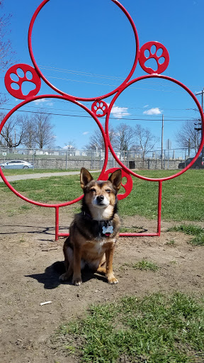 Park «Dog Park», reviews and photos, 1121 Locust St, Fall River, MA 02720, USA