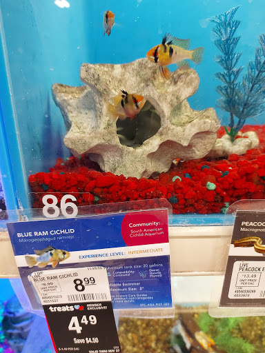 Pet Supply Store «PetSmart», reviews and photos, 428 Randall Rd, South Elgin, IL 60177, USA