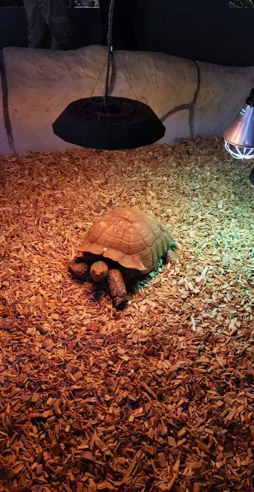 Photo n° 1 de l'avis de Jerome.a fait le 23/10/2021 à 18:04