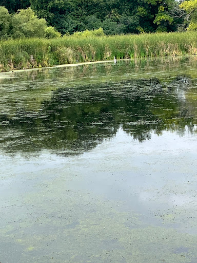 Nature Preserve «Westwood Hills Nature Center», reviews and photos, 8300 W Franklin Ave, St Louis Park, MN 55426, USA