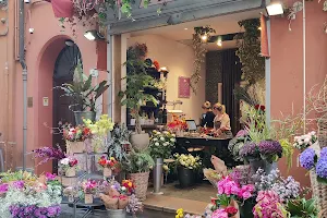 Frida's Bologna | Italian Flower Stores image