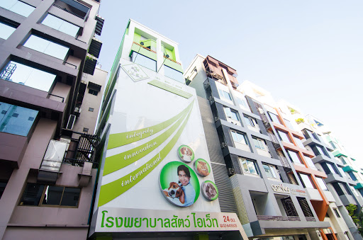 โรงพยาบาลสัตว์ไอเว็ท สาขา พระราม9 - iVET Animal Hospital