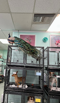 The Pet Stop - Photo 4 - Car repair in Rancho Cucamonga, CA, Fontana