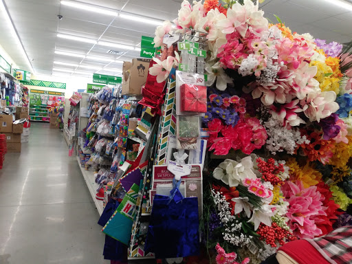 Dollar Store «Dollar Tree», reviews and photos, 383 Allen St, Springfield, MA 01118, USA