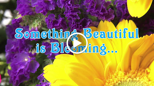 Jewelry Store «Mc Kenzie & Smiley Jewelers», reviews and photos, 2321 Madison St, Clarksville, TN 37043, USA