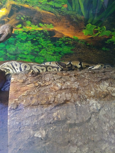 Pet Store «Pet Cove», reviews and photos, 820 E Center St, Kingsport, TN 37660, USA