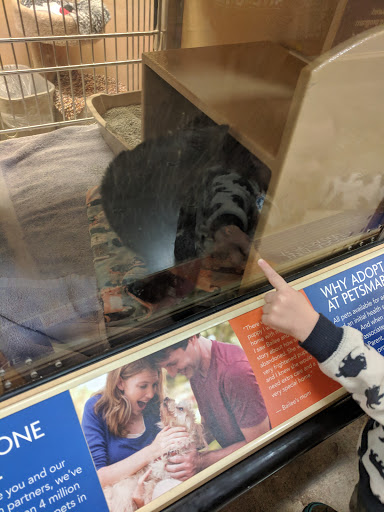 Pet Supply Store «PetSmart», reviews and photos, 100 108th Ave NE, Bellevue, WA 98004, USA