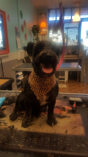 Tobacco Shop «The Smokers Edge Smoke and Vape Shop», reviews and photos, 19756 N John Wayne Pkwy #114, Maricopa, AZ 85138, USA