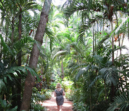 Condominios Marbella photo