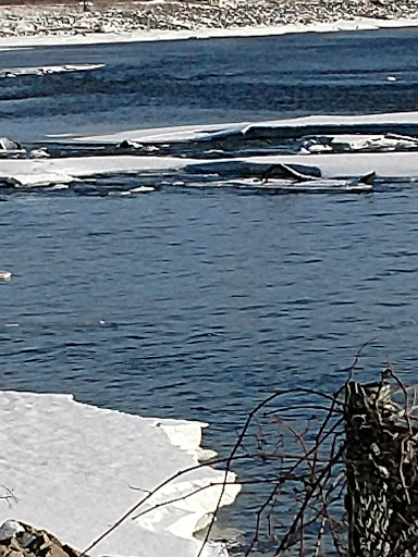 Park «Coon Rapids Dam Regional Park», reviews and photos, 9750 Egret Blvd NW, Coon Rapids, MN 55433, USA