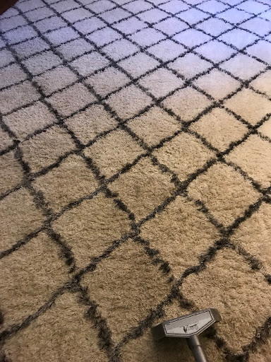 Carpet Cleaning Service «Elite Carpet Cleaning Service», reviews and photos, 29031 Glenarden St, Farmington Hills, MI 48334, USA