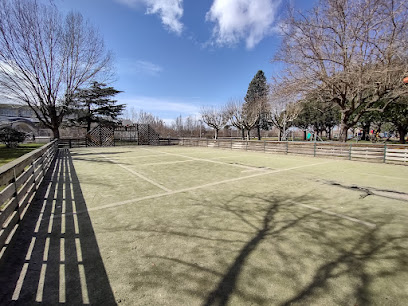 Campo deportivo - P.º Papalaguinda, 8, 24004 León, Spain