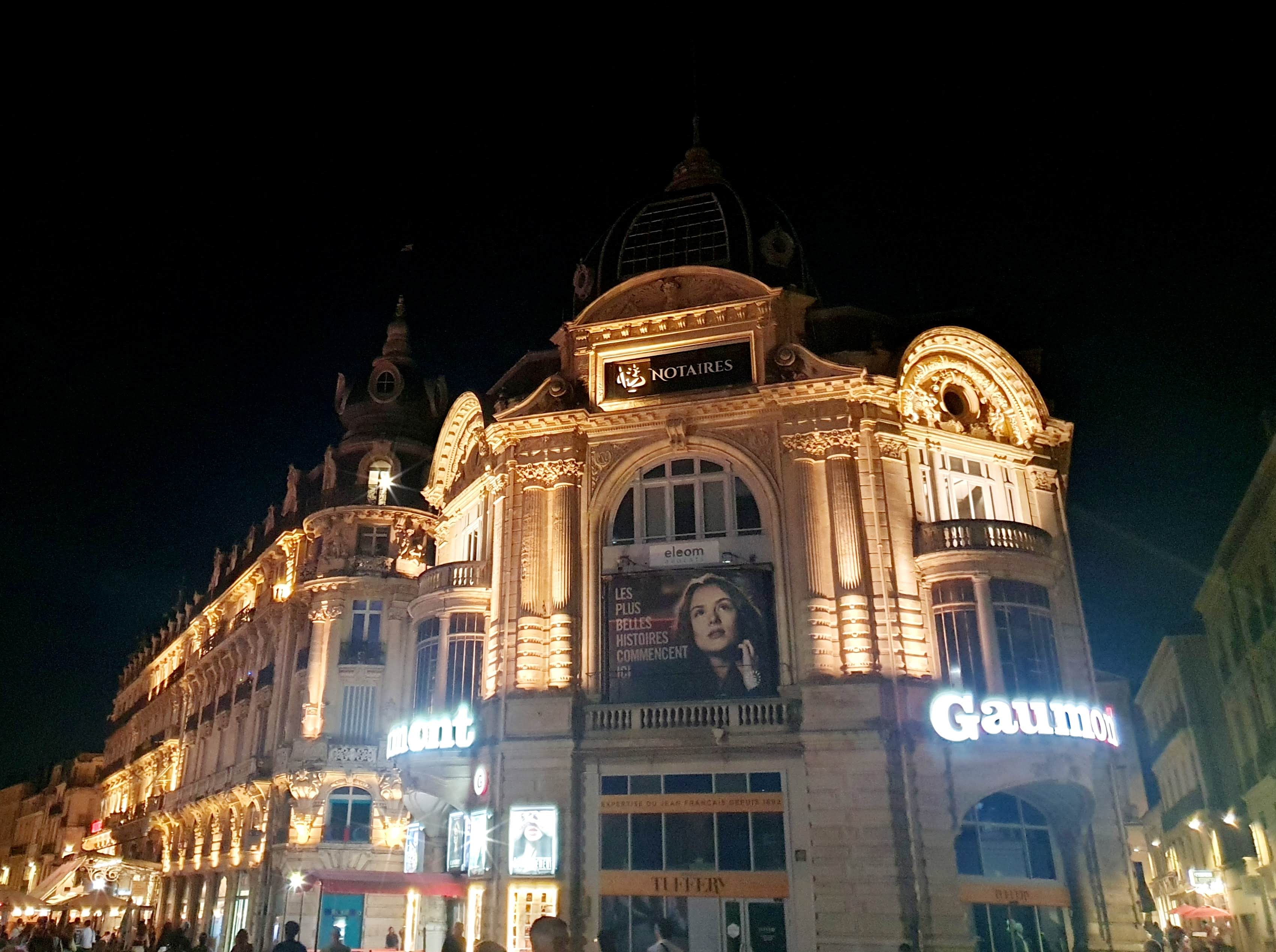 Photo n° 1 de l'avis de Malissia. fait le 13/10/2023 à 18:02