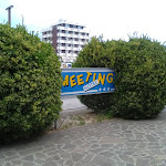 Photo n°7 de l'avis de Miroslaw.a fait le 28/06/2018 à 06:45 sur le  Hotel Meeting Beach B&B à Bellaria - Igea Marina