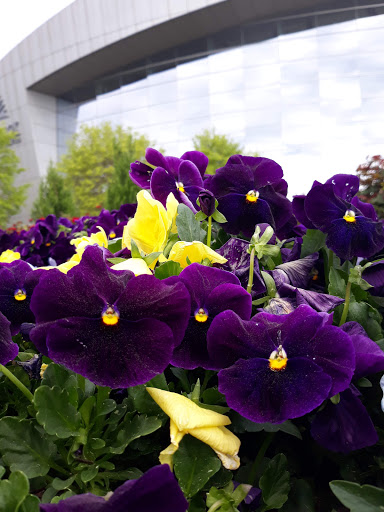 Concert Hall «Cobb Energy Performing Arts Centre», reviews and photos, 2800 Cobb Galleria Pkwy, Atlanta, GA 30339, USA