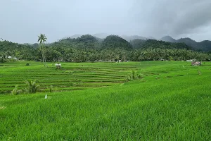 Cadapdapan Rice Terraces image