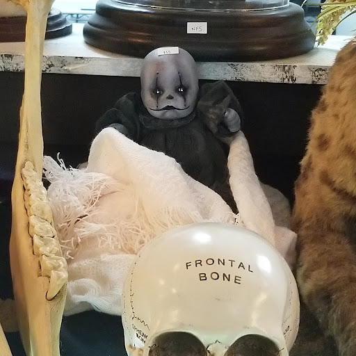 Explore pubic area tattoo ideas, creative tattoo ideas in Asheville, available at Dark and Deviant Oddities